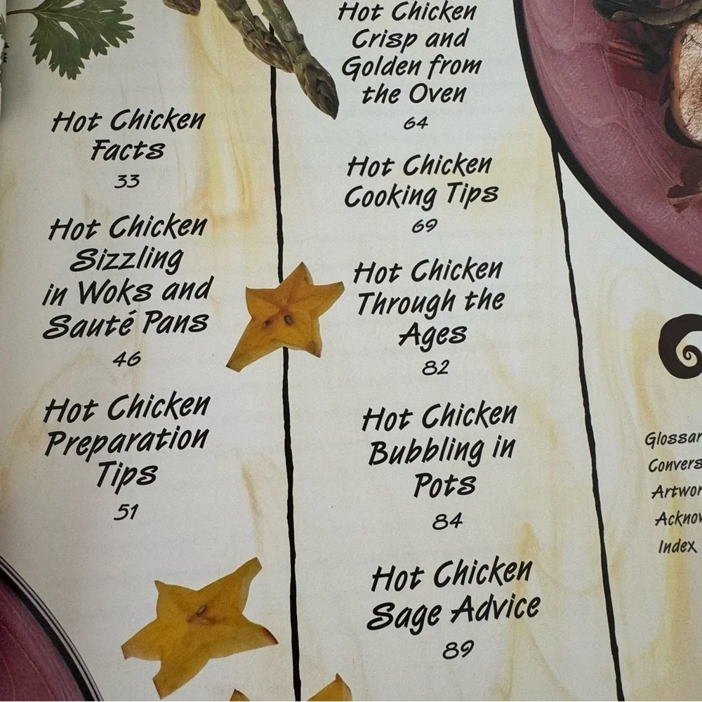 Barnes & Noble Hot Chicken Cookbook NEW